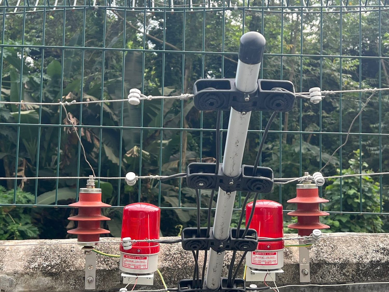 Cerco eléctrico de cuatro hilos con luces de alarma